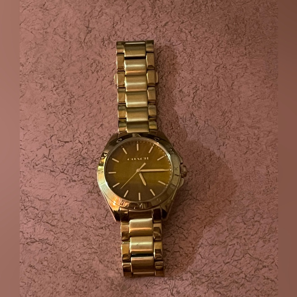 Coach gold tigers eye watch